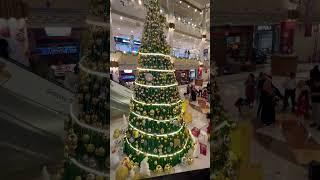 #cristmas #vibes #abudhabi #travelandlifestyle #emiratescity #travelphotography #2024 #mall #shots