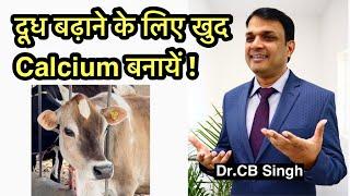 दूध बढ़ाने के लिए Calcium घर पर बनाने का सबसे आसान तरीक़ा | Dairy Ustaad | Dr CB Singh