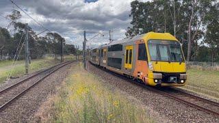 Sydney Trains Waratah A Sets and NSW TrainLink V Sets passing by Upper North Shore Stations