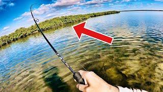 AM FISHING lures TIPS | Port Mansfield | Arroyo City FISHING