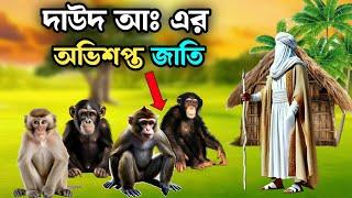 আল্লাহর গজবে বনি ঈসরাইলেরা যেভাবে বানরে পরিনত হয়েছিল | Story of Prophet Dawood (AS) and Bani Israel