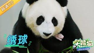 GrowUp! Panda | 新手熊猫妈妈母爱爆棚, 和宝宝分开一会儿就焦躁不安 #成长吧大熊猫