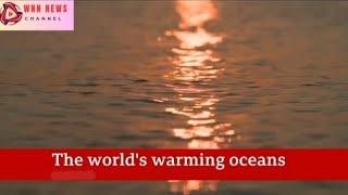 Oceans record hottest ever recorded temperature - WNN News