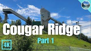 Calgary Neighbourhood Walk  Cougar Ridge Part 1