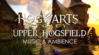 finally, a place to rest... (hogwarts legacy music & ambience)