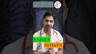 10 Days Observation Period in Rabies by Dr Anurag Prasad | Dog Bite #shorts