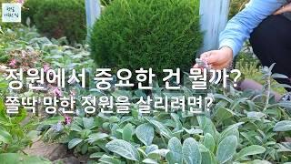 정원에서 중요한 건 뭘까?/쫄딱 망한 정원을 살리려면?/가드닝  정원가꾸기 식물키우기 정원꾸미기