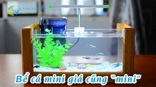 Bể cá mini 30cm để bàn xinh xắn giá 520.000đ | Hồ Cá Cảnh Dương