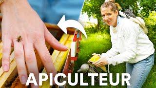 MÉTIER APICULTEUR : tâches quotidienne, vendre son miel, présentation apiculture