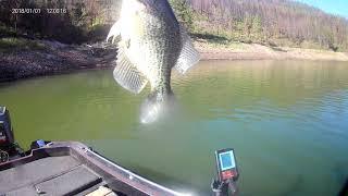 McPhee Reservoir crappie