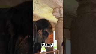  HAMPI temples |Karnataka tourism| Vijayanagara Empire|VirupakshaTemple#shortsfeed#hampi#hampitrip