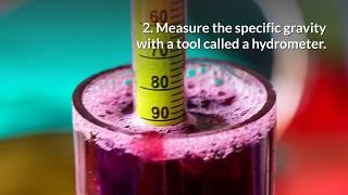 Specific Gravity of Wine - What Is Specific Gravity in Wine Making » HomeBrewAdvice.com