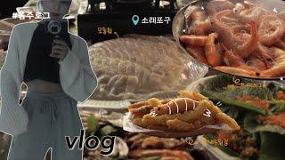 vlog |소래포구에서 대하흡입하는 음주로그 | 달밤에 온몸 날리며 쓰레기 배드민턴치기