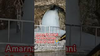 Amarnath Darshan 2025 #amarnath #2025 #holycave #jk #shrineboard #barfanibaba #pahalgam