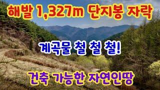 [139] 거창땅 거창촌땅 경남땅 해발 1,327m 단지봉 자락 계곡물 철철철 건축 가능한 자연인땅 1,622m2(491평)