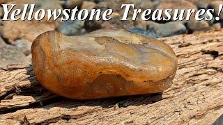 Rockhounding Life Meets the Yellowstone! Hunting for Agates with Jason from Rockhounding Life!