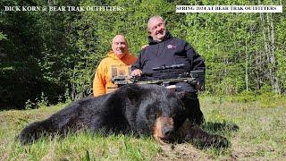 CROSSBOW SPRING BEAR HUNT 2024 @ BEAR TRAK OUTFITTERS DICK KORN WITH PERFECT SHOT FROM GROUND BLIND!