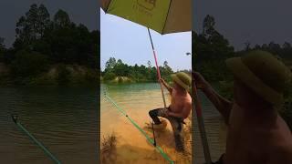 Đỉnh Cao Câu Cá  #caucagiaitri #cauca #fishing #shorts #fish