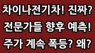 차이나 전기차 주식 주가 전망 전문가들 예측은? TIGER 타이거 SOLACTIVE 중국 ETF 테슬라 니콜라 루시드 엔비디아 아이온큐 TQQQ SOXL TMF