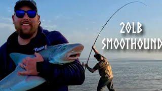 20.1LB Shore Caught Smoothound - Century Fireblade GT 14ft