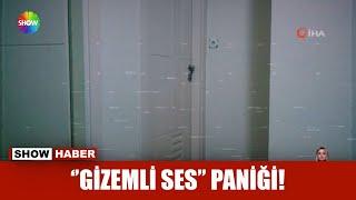 ''Gizemli ses'' paniği!