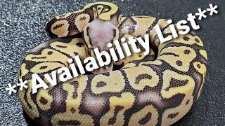 Whats available from JDH Reptiles - Check our MorphMarket.