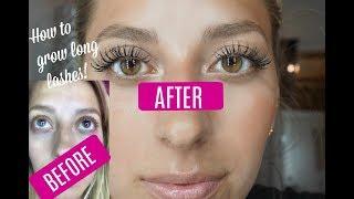 LASH SERUM BEFORE & AFTER! Growing Long Lashes