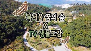 북서울꿈의숲 x TV생물도감 생태탐사 (예고편)