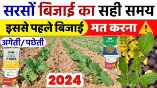 सरसों की बिजाई का सही समय | Sarso Ki Bijai Ka Time | Sarso Ki Bijai Ka Samay | Sarso Ki Kheti 2024