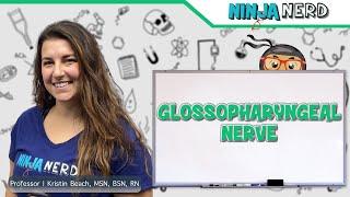 Glossopharyngeal Nerve