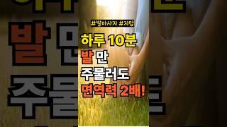 하루 10분 반만 주물러도 면역력2배!#발마사지#발건강#지압