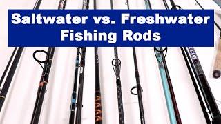 Saltwater vs. Freshwater Fishing Rods: Differences, Maintenance Tips, And When To Use Each One