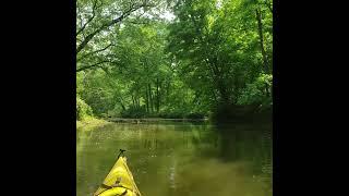 Shenango River Watchers Spring Thing 2023