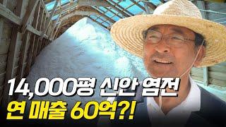 14,000평 신안 염전에서 생산한 천일염으로 연 매출 60억?!