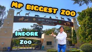 INDORE KA CHIDIYAGHAR !! INDORE ZOO !! CLEANEST ZOO IN INDIA !! kamal shrivas