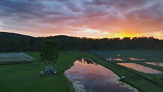 Camping at Lakeside of a Farm in Gympie 诗与远方，澳洲华人农场主的幸福生活