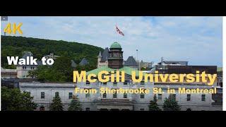 4K - Walk to McGill University on Sherbrooke Street, Montreal/麦吉尔大学