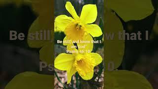 Flowers = a symbol of hope