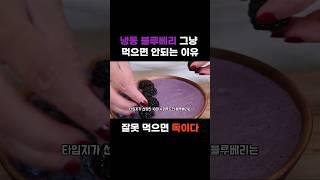 냉동 블루베리 그냥 먹으면 안되는 이유