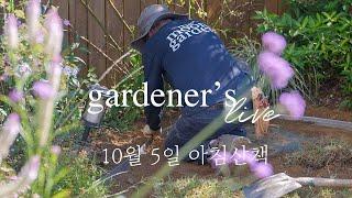 10월 양평서정이네 정원라이브 Live garden tour of October