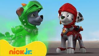 Psi Patrol | Psi Patrol przemienia się w rycerzy, by walczyć ze smokami i dinozaurami! | Nick Jr.