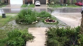 Austin Texas Flash Flood - May 1, 2021 - Soaking My Backyard Garden