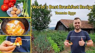 Quick and Easy Eggs Poached in Tomato Sauce  Nutritious and Delicious Breakfast. ASMR Recipe