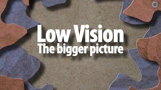 Low vision: the bigger picture