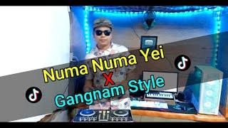 Numa Numa Yei X Gangnam Style DjRedem Original Mix TikTok Viral