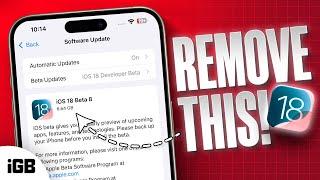 How to Remove iOS 18 Beta and Install iOS 18 Stable? 