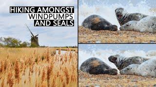 Norfolk Broads Walk - Horsey Windpump to Horsey Gap Beach