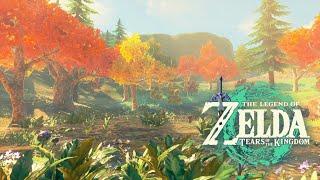  Fall Color Pond｜Tears of the Kingdom｜ZELDA Ambience｜Relaxing Zelda BGM