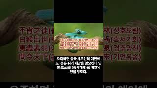 2025년 국운 #국운 #게임 #국운예언 #예언 #삼도봉시 #국조진어팔임