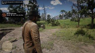 Gameplay Red Dead Redemption 2 PS5 PRO - GAME BOOST